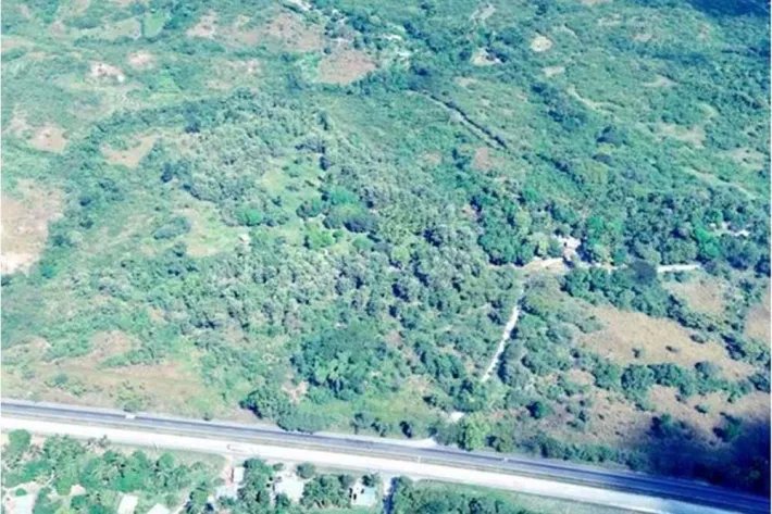 Land for sale in El Higo de San Carlos