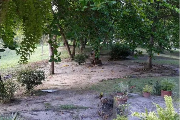 Land for sale in El Higo de San Carlos