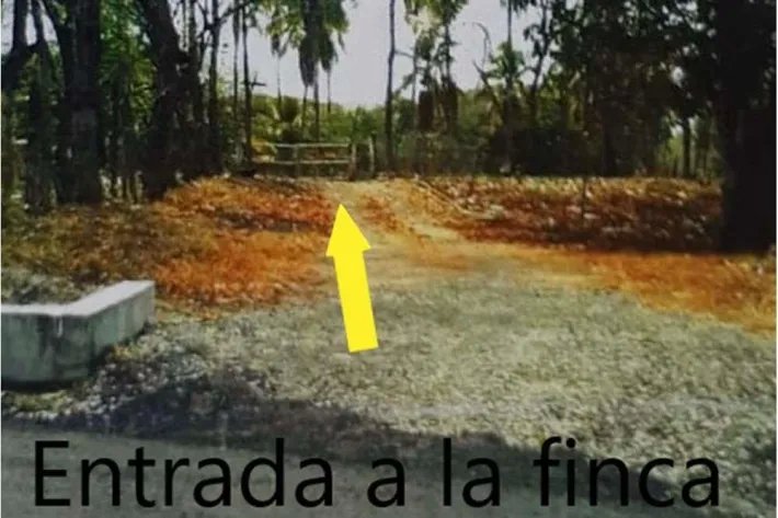 Land for sale in El Higo de San Carlos