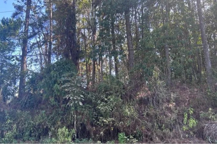 Land for sale in Cerro Azul (Las Nubes)