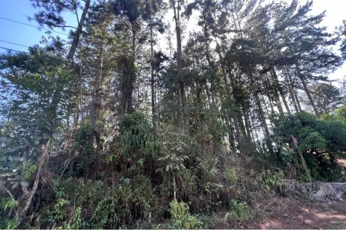 Land for sale in Cerro Azul (Las Nubes)