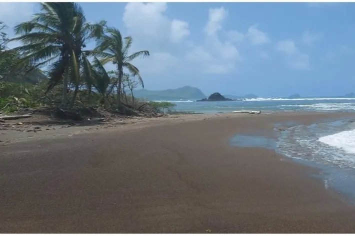 Land for sale in Santa Isabel, Colón