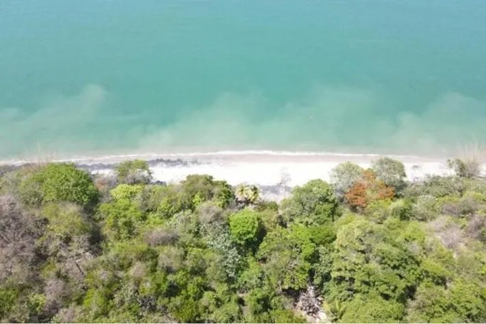 Land for sale in San Carlos, Las Uvas