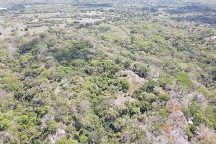 Land for sale in San Carlos, Las Uvas