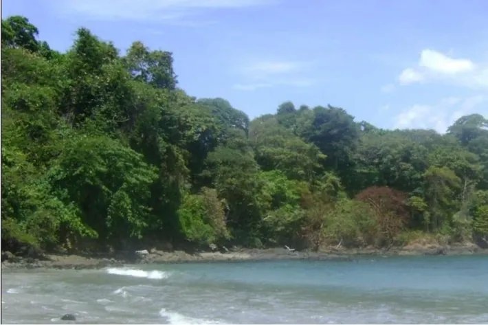 Se Vende Isla en Chiriquí