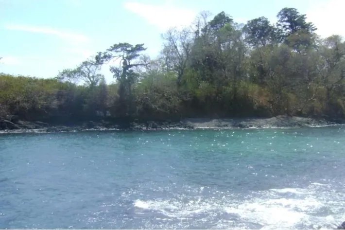 Island for sale in Chiriquí