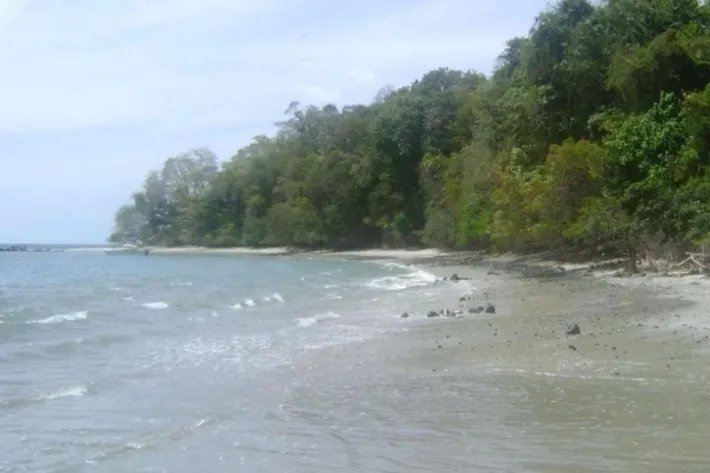 Island for sale in Chiriquí