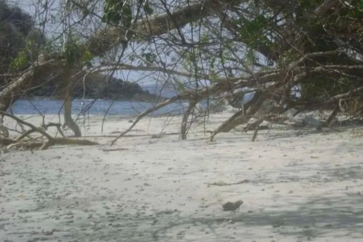 Island for sale in Chiriquí
