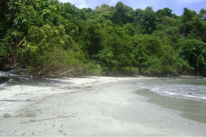 Island for sale in Chiriquí
