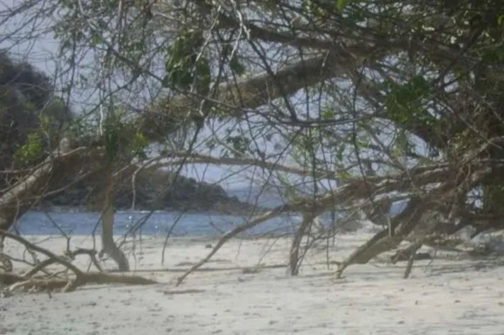 Island for sale in Chiriquí