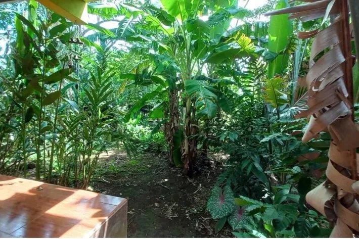 Se vende casa comercial en David, Chiriquí