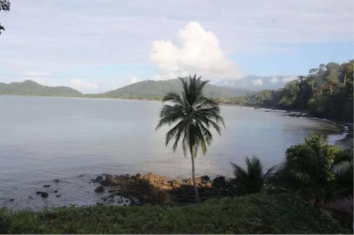 Venta de Terreno con casa de pesca en Puerto Piña, Darién