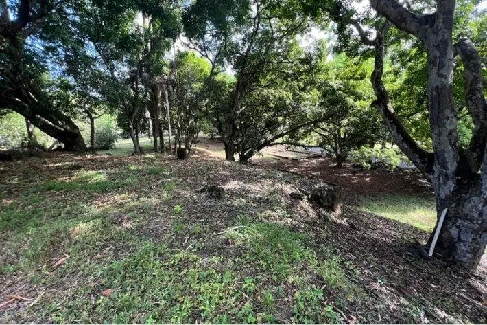 Se vende terreno en Albrook, Ancón