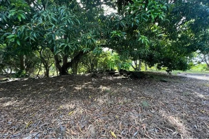 Se vende terreno en Albrook, Ancón