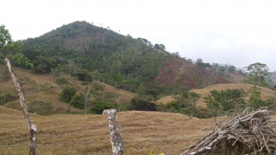 14363 - La Chorrera - farms