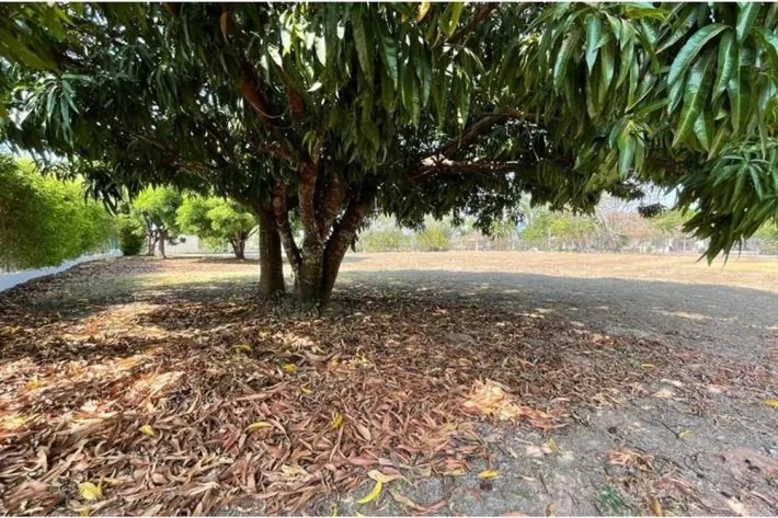 Se vende lote de terreno en Club de Golf, Coronado, Chame