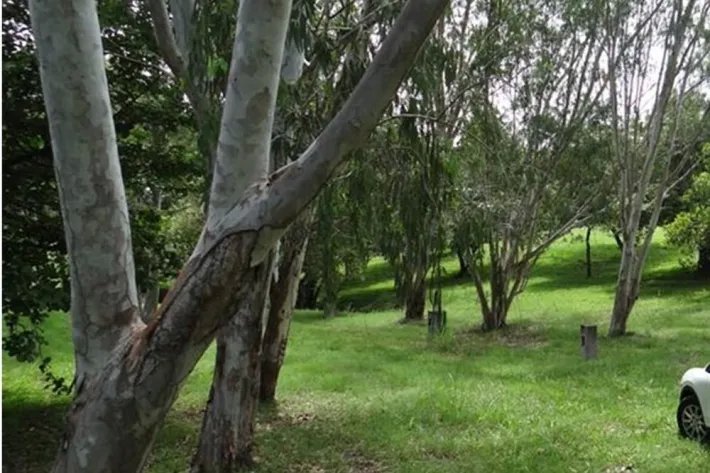 Se vende Finca en Las Lagartijas, San Carlos