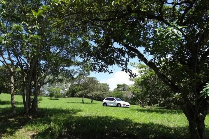 Se vende Finca en Las Lagartijas, San Carlos