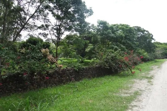 Se vende Finca en Las Lagartijas, San Carlos
