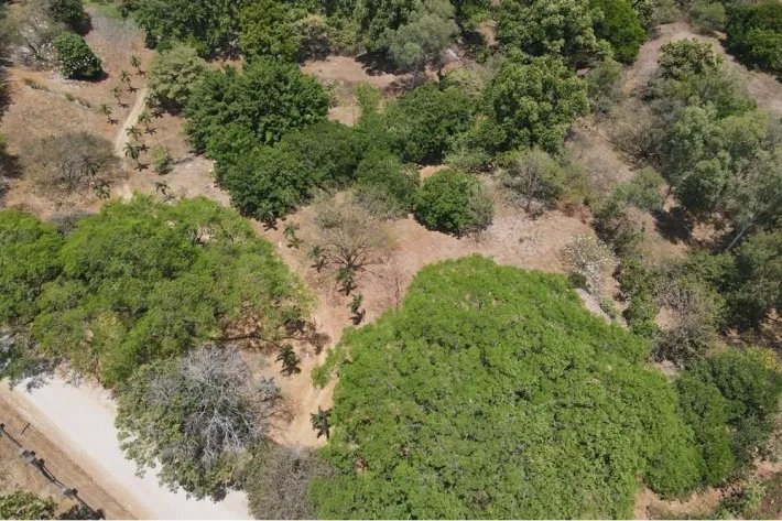 Se vende Finca en Las Lagartijas, San Carlos