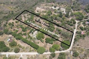 Se vende Finca en Las Lagartijas, San Carlos