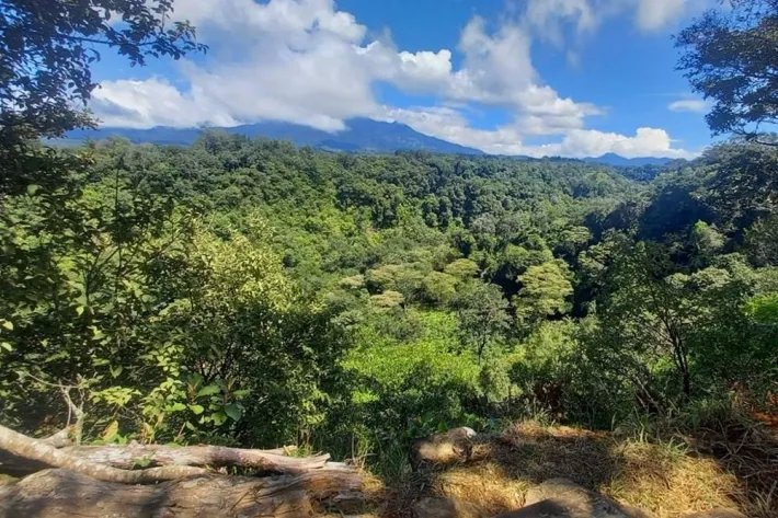 Coffee farm for sale in Alto Boquete, Chiriquí