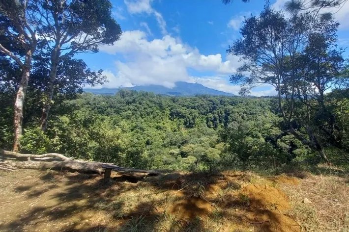 Coffee farm for sale in Alto Boquete, Chiriquí