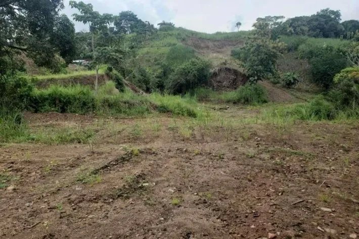 Se vende finca en Pedregal, Villalobos