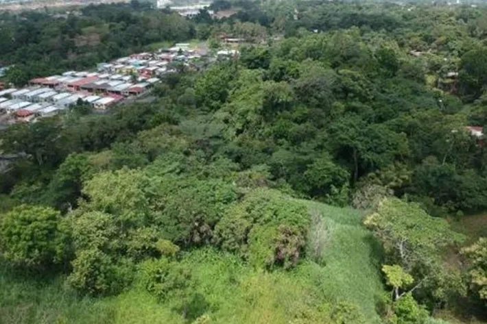 Se vende finca en Pedregal, Villalobos