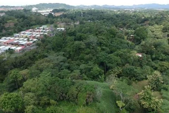 Se vende finca en Pedregal, Villalobos