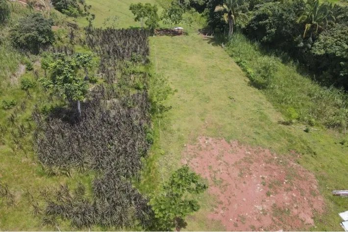 Se vende finca en La Chorrera, Panama Oeste