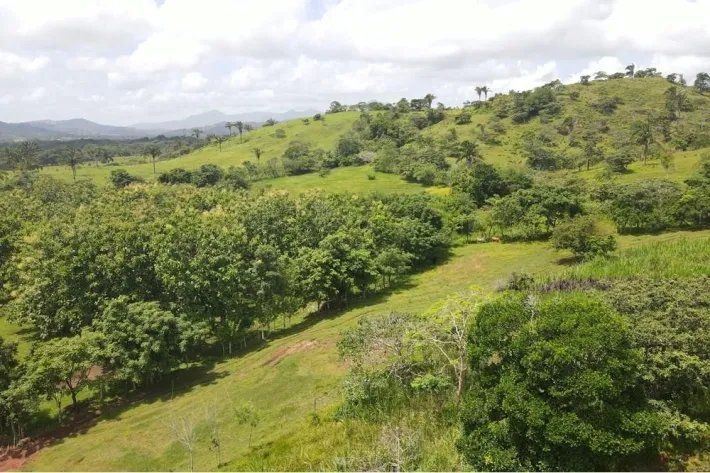 Se vende finca en La Chorrera, Panama Oeste