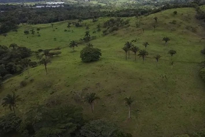 Se vende finca en La Chorrera, Panama Oeste