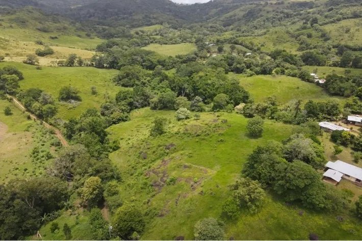 Se vende finca en La Chorrera, Panamá Oeste