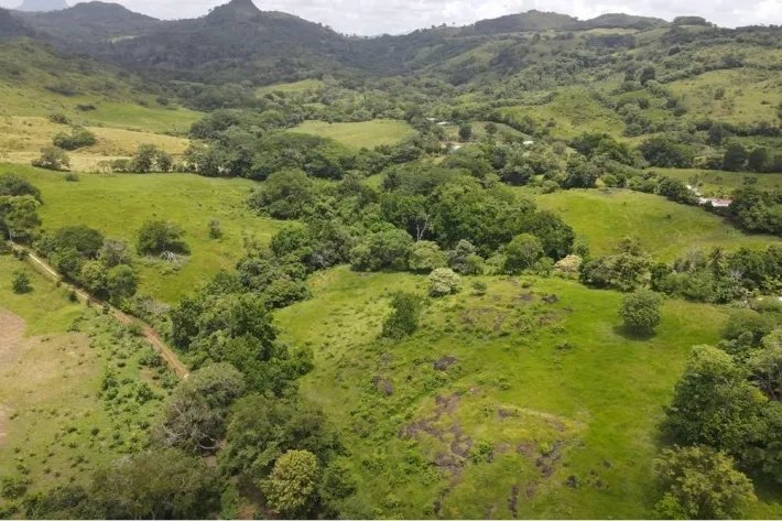 Se vende finca en La Chorrera, Panamá Oeste