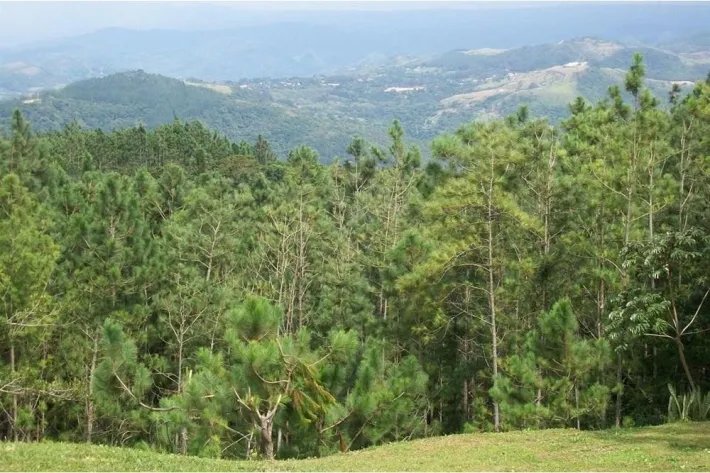 Casa en venta en Altos del María, Chame