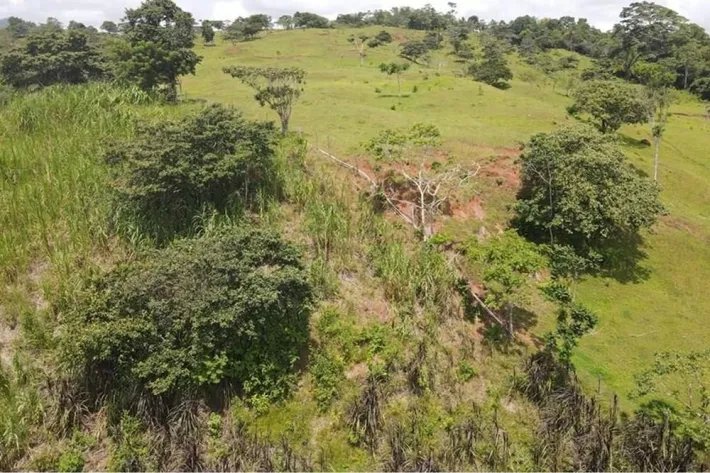 Se vende finca en La Chorrera, Panama Oeste