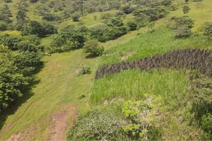 Se vende finca en La Chorrera, Panama Oeste