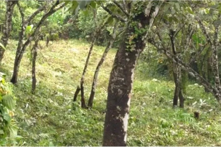 Land for sale in Chilibre, Panama
