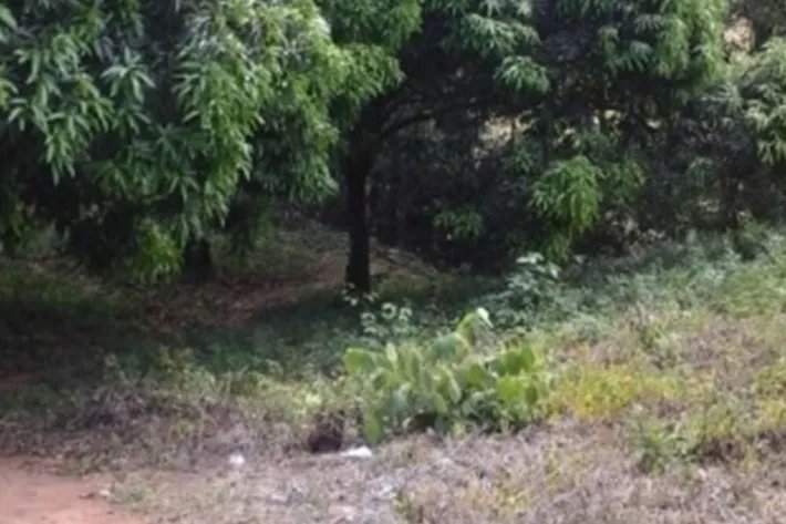 Land for sale in Chilibre, Panama