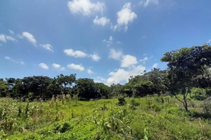 Venta de terreno en Gobea, Donoso, Colón