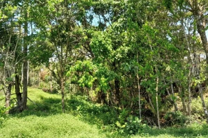 Venta de terreno en Gobea, Donoso, Colón