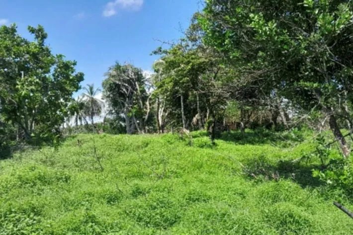 Venta de terreno en Gobea, Donoso, Colón