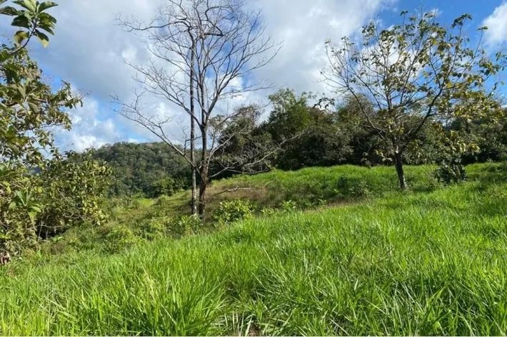 15 HECTARES (37.06 ACRES) WITH PANORAMIC OCEAN VIEW FOR SALE, PIXVAE, ...