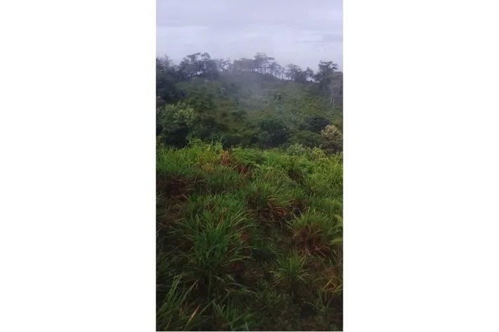 15 HECTARES (37.06 ACRES) WITH PANORAMIC OCEAN VIEW FOR SALE, PIXVAE, ...