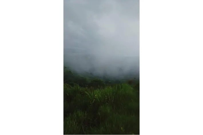 15 HECTARES (37.06 ACRES) WITH PANORAMIC OCEAN VIEW FOR SALE, PIXVAE, ...