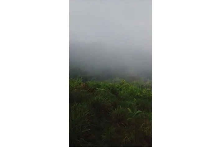 15 HECTARES (37.06 ACRES) WITH PANORAMIC OCEAN VIEW FOR SALE, PIXVAE, VERAGUAS.