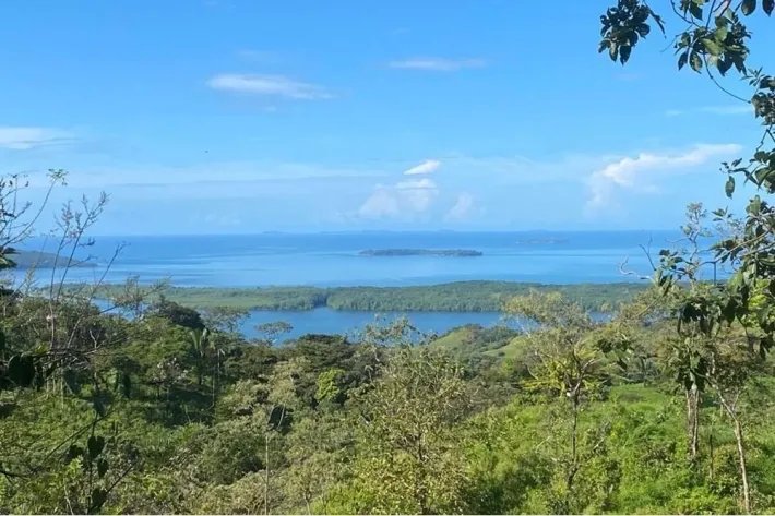 15 HECTARES (37.06 ACRES) WITH PANORAMIC OCEAN VIEW FOR SALE, PIXVAE, VERAGUAS.