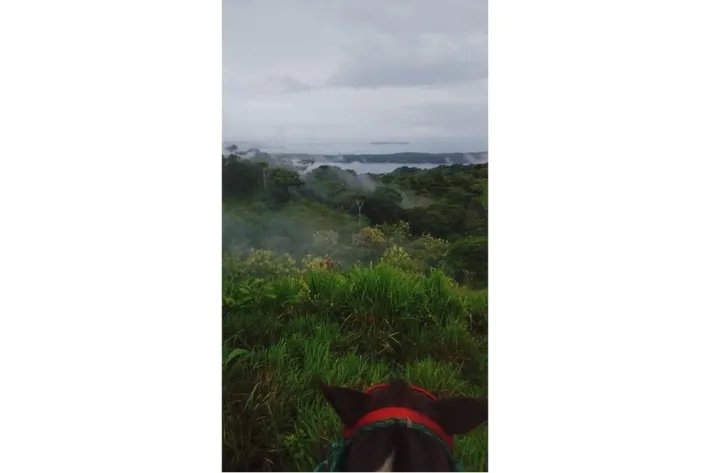 15 HECTARES (37.06 ACRES) WITH PANORAMIC OCEAN VIEW FOR SALE, PIXVAE, VERAGUAS.