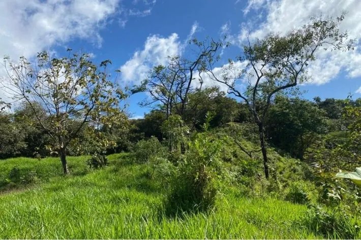 15 HECTARES (37.06 ACRES) WITH PANORAMIC OCEAN VIEW FOR SALE, PIXVAE, VERAGUAS.